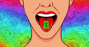 lsd چیست؟